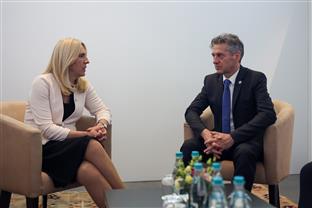 БиХ - Словенија - Цвијановић, Голоб