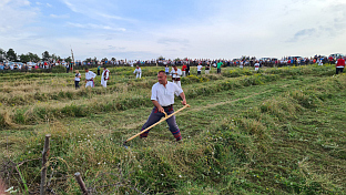 Србија - Република Српска - манифестација
