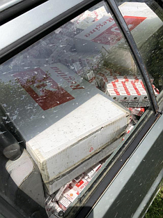 Црна Гора - БиХ