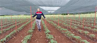 Република Српска - Берковићи - Горан Дука