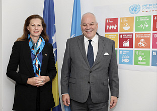 Сарајево - Мекдоналд, Агелер