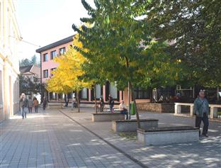  Република Српска - Нови Град - Удружење "Грин тим" 