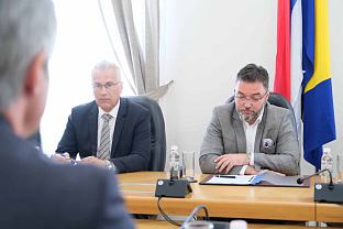 БиХ - афричка куга свиња - Кошарац