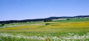 Република Српска - Хан Пијесак - СПЦ