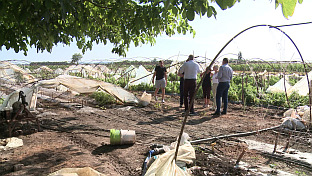 Република Српска - Бијељина - пољопривреда