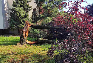 Република Српска - Бањалука - Градска управа