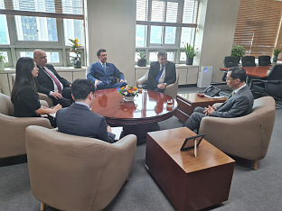 БиХ - Јужна Кореја - Бркић, Канг