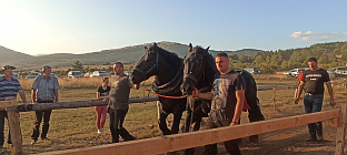 ФБиХ - Дрвар – "Штрапаријада"