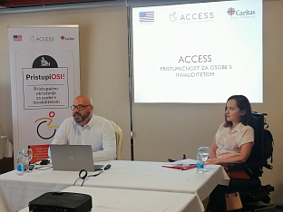 БиХ - Брчко – Представљање анализе 