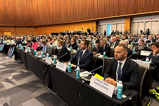 БиХ - парламент - Парламентарна скупштина ОЕБС-а