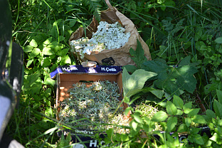 Република Српска - Сребреница - Национални парк "Дрина"