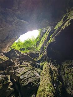 Република Српска – Озрен  – биодиверзитет