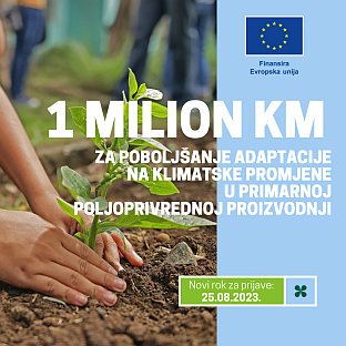 БиХ - УНДП - плакат