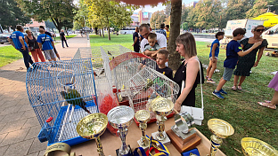 Република Српска - Добој 
