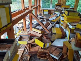 Република Српска - Пале - екосистем