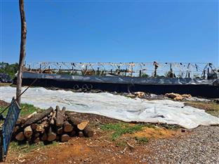 Република Српска - Шамац –  процјена штете