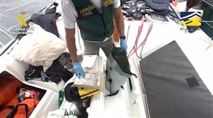 Србија - Европол