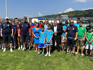 Србија - дијаспора