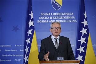 БиХ - политички систем - Босић