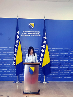 БиХ - Представнички дом - Вулић