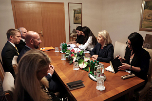 БиХ - Бледски стратешки форум - Кришто, Мишел