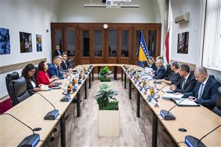 БиХ - Нешић, Пинтер