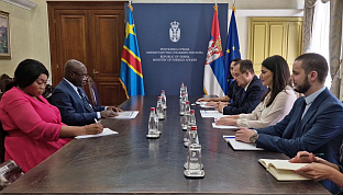 Србија - Конго - Дачић, Муламбу