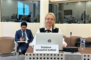 БиХ - Савјет Европе - Новаковић Бурсаћ