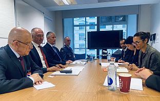 БиХ – Велика Британија – одбрана