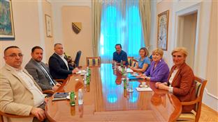 БиХ – Уставни суд – Галић, Бадњевић 