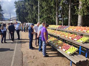 Република Српска - Градишка - пољопривреда