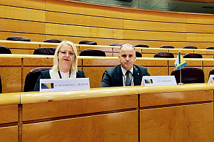 БиХ - Шпанија - ЕУ