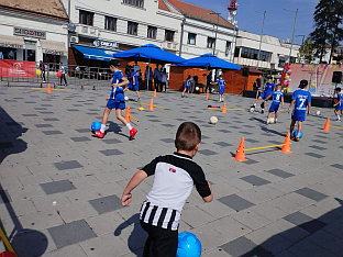 Република Српска - Бијељина - инклузија 