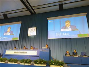 БиХ - ИАЕА, ОЕБС - Бркић