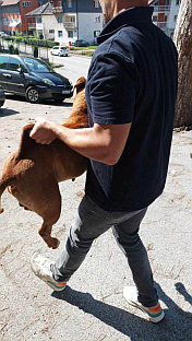 Република Српска - Сребреница - Комунална полиција