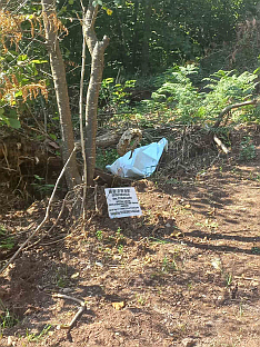 БиХ - Тужилаштво - ексхумација