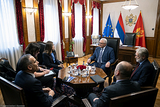 Црна Гора - ЕУ - Мандић, Попа