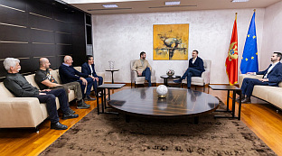 Црна Гора - Влада