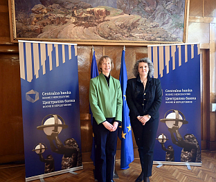 БиХ - Централна банка - УСАИД