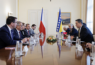 БиХ - Чешка - Бећировић