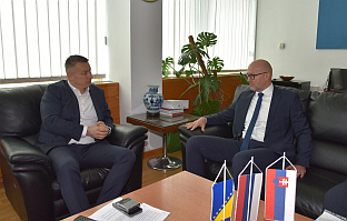 БиХ - Словачка - Нешић, Хлобен