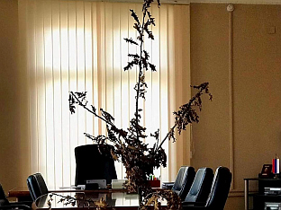 БиХ - Министарство одбране - Божић