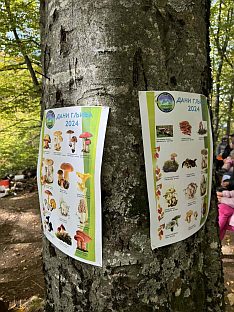 Република Српска - Мркоњић Град - манифестација