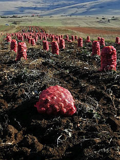 ФБиХ - пољопривреда