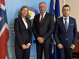 БиХ - Норвешка - одбрана