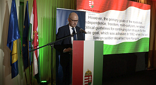 БиХ - Мађарска - пријем