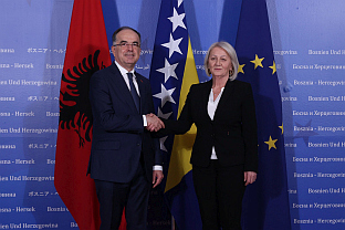 БиХ - Албанија