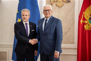 Црна Гора - ЕУ - Мандић, Сатлер