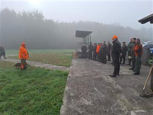 Република Српска - Шамац - кинологија