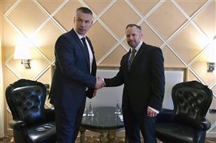 БиХ - Нешић - Гердес